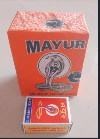 Snake Serpent
