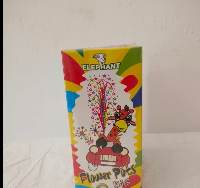 Flower Pots Big (10 Pcs)