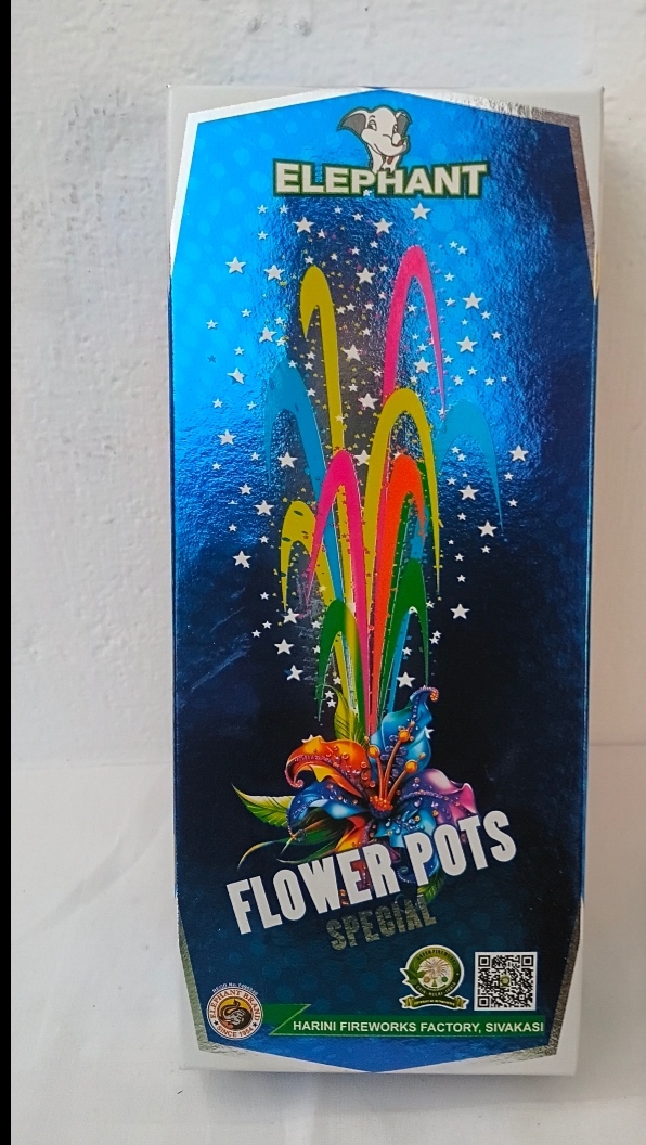 Flower Pots Special (10 Pcs)