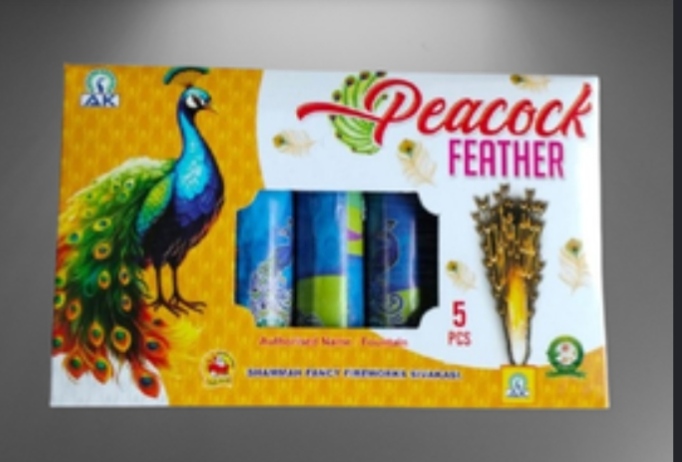 Peacock Feather (5 Pcs)